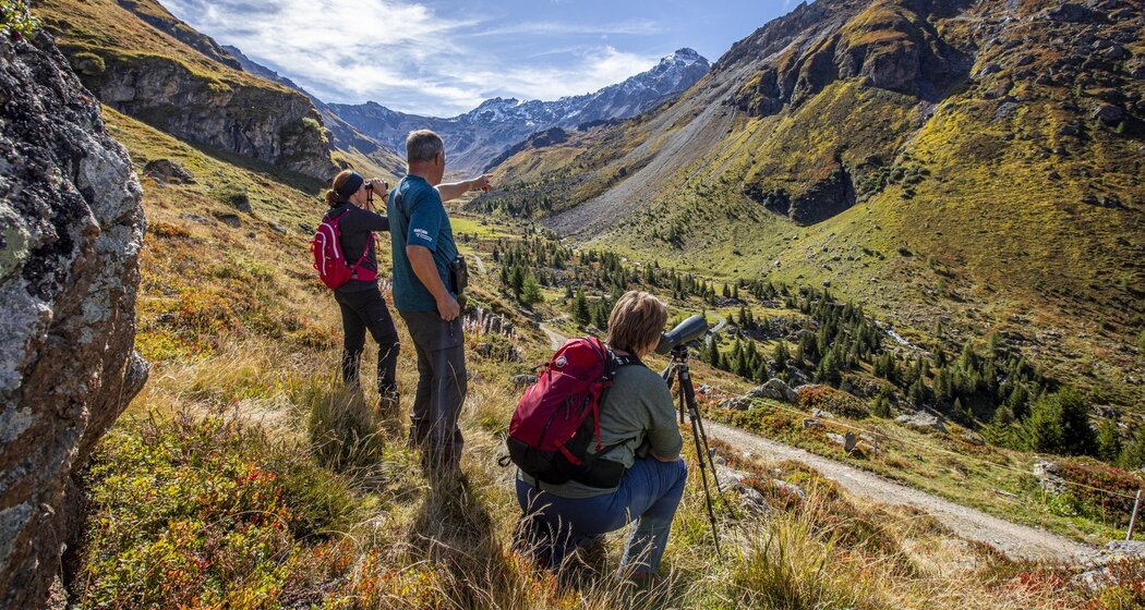 2-Tages-Wildbeobachtung im Parc Ela (nsp_img_01aecce)