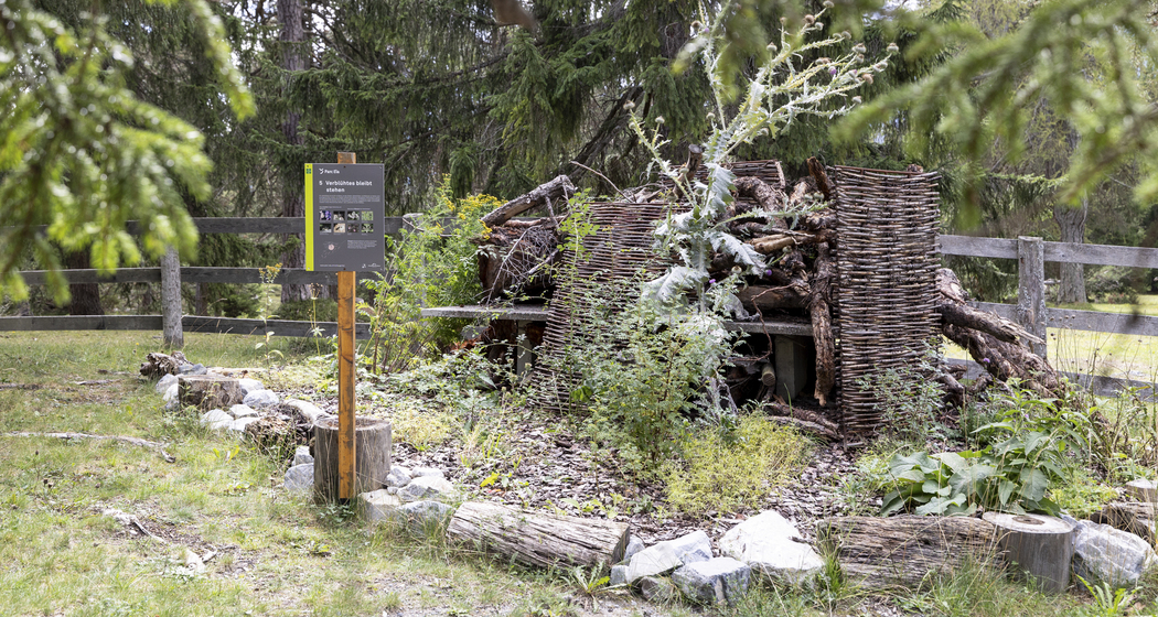 Insekten-Schaugarten Don Bosco (nsp_img_1a0e8a2)