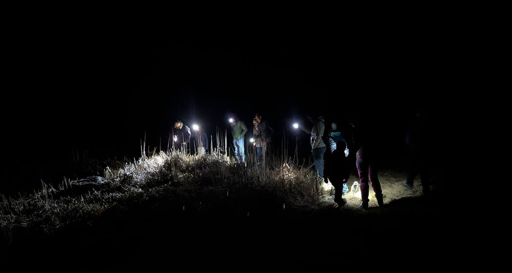 Frosch oder Kröte? - Amphibien im Parc Ela (nsp_img_3686a7e)