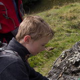 Capricorn Pirsch (nsp_img_3e68810)