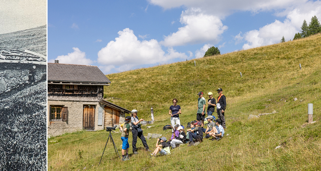 immer wilder (nsp_img_40a4de6)