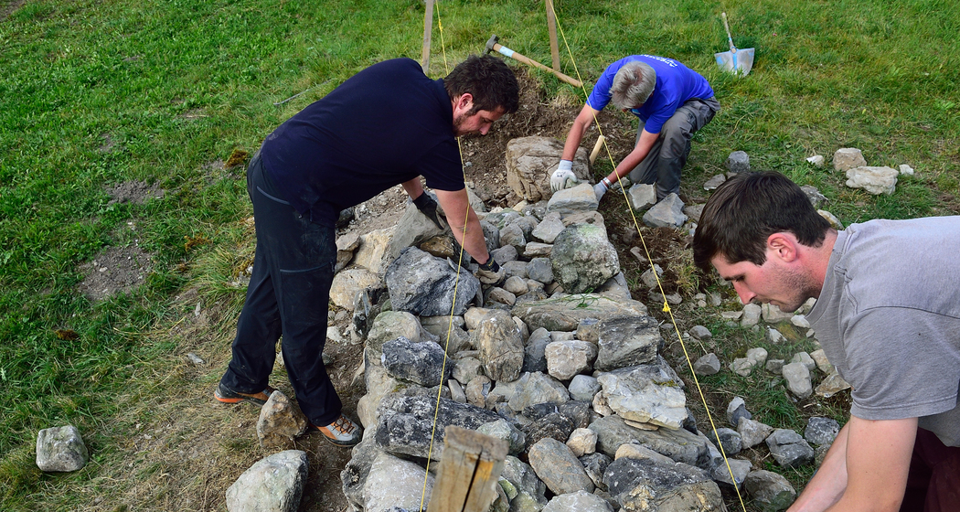 Natureinsatz für Schulklassen (nsp_img_44060c6)