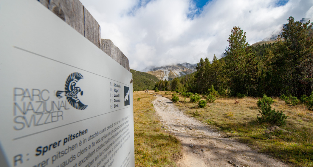 Naturlehrpfad Margunet (nsp_img_5083c92)