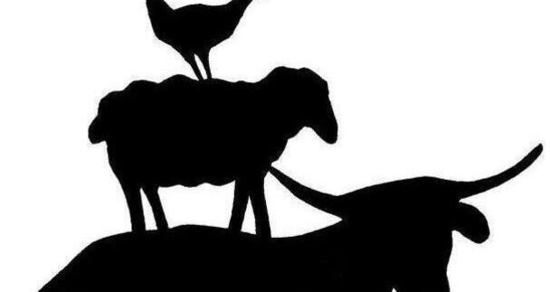 biobuchli (nsp_img_5167e70)