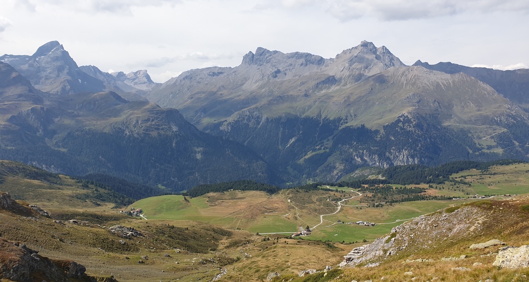 Schatzinsel Alp Flix: Wissenstransfer (nsp_img_5c03d51)