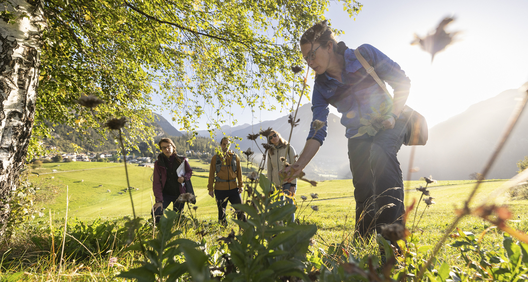 Biodiversität dank Hecken (nsp_img_61d327a)