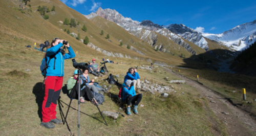 Geführte Exkursion Trupchun (nsp_img_634e16d)