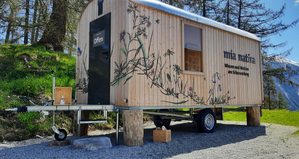 Ausstellung mia natira (nsp_img_6889829)