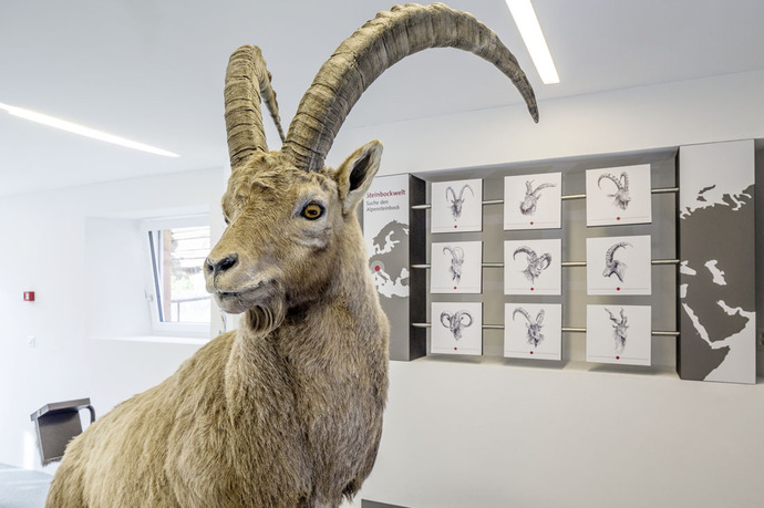 Ausstellung Capricorn (nsp_img_8bf996f)