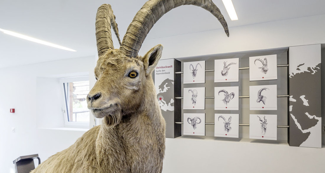 Ausstellung Capricorn (nsp_img_8bf996f)