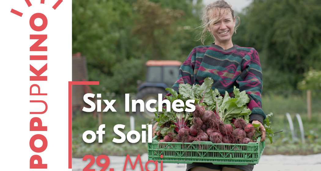 Filme für die Erde Pop-up Kino (nsp_img_8c3fdf9)