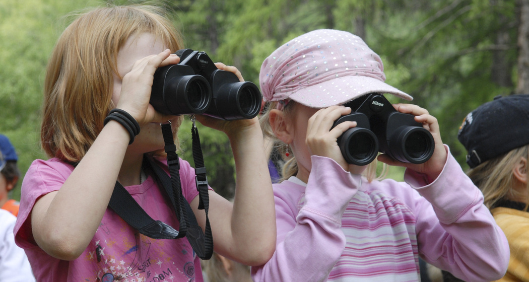Natur(g)WUNDER (nsp_img_8ecb804)