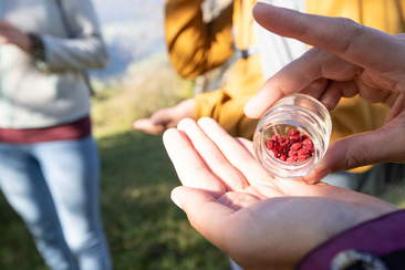 Biodiversität dank Hecken (nsp_img_957478c)