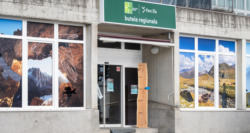 buteia regiunala (nsp_img_96d1b1a)