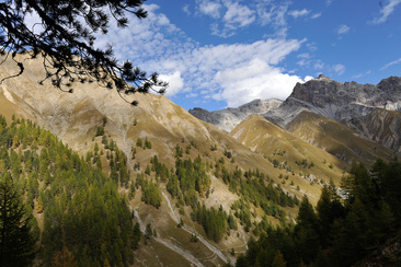 Excursion guidée Val Trupchun (nsp_img_9baa3ab)