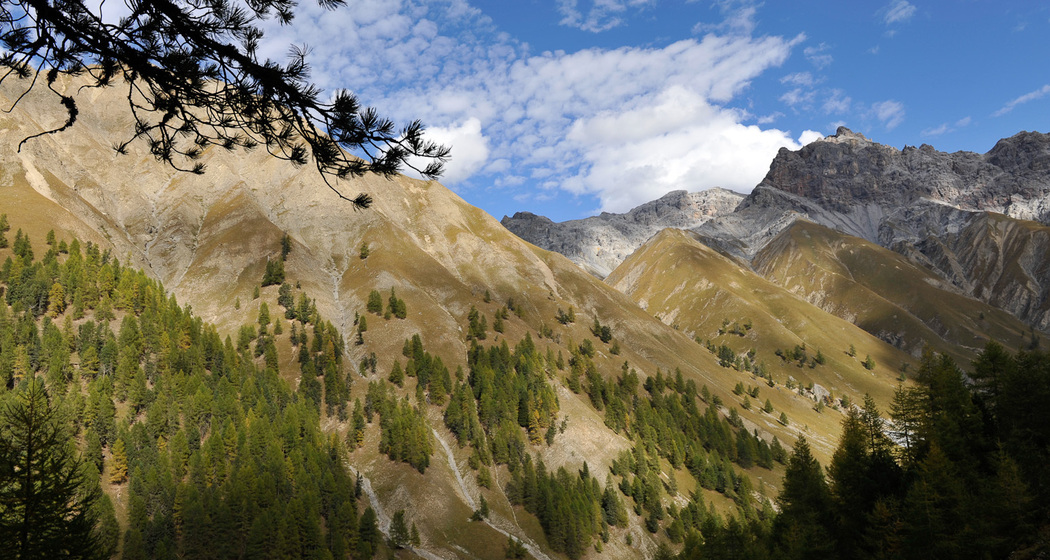 Geführte Exkursion Trupchun (nsp_img_9baa3ab)