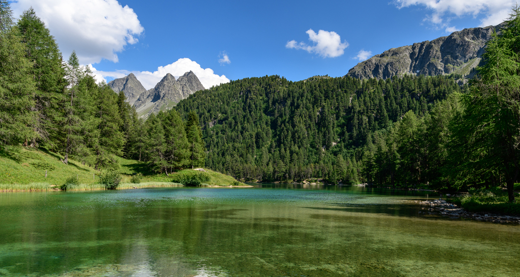 Unterwegs mit dem Ranger (nsp_img_9d59e09)