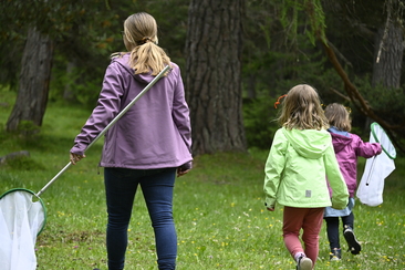 Insekten entdecken – Kindernachmittag (nsp_img_9edbea2)