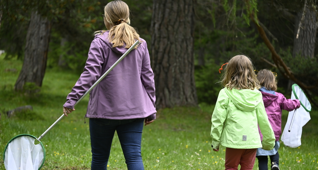 Insekten entdecken – Kindernachmittag (nsp_img_9edbea2)
