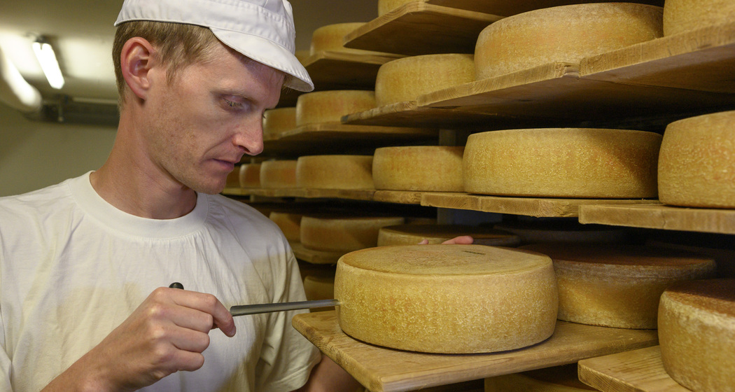 Nossa Caschareia / Savogniner Heumilch Käse (nsp_img_a4b81f5)