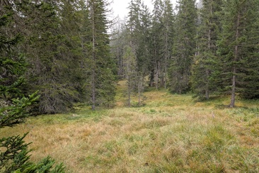 Hexenverfolgung im Surses (nsp_img_a70fe96)