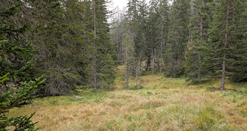 Hexenverfolgung im Surses (nsp_img_a70fe96)