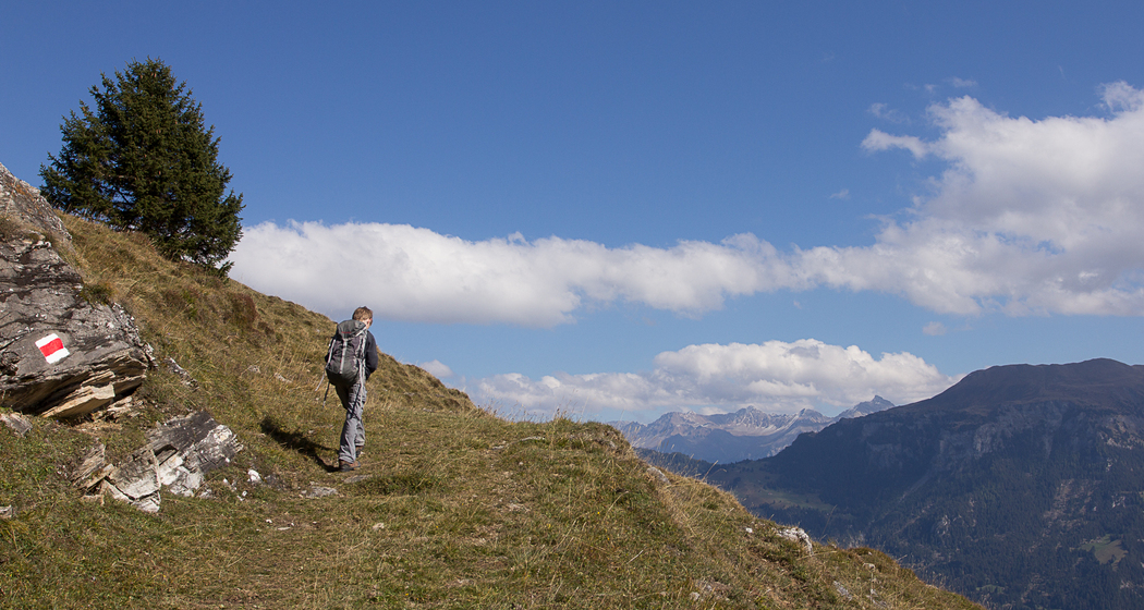 Capricorn Pirsch (nsp_img_a98d816)