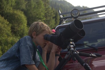 Safari auf Bündner Art - Wildbeobachtung (nsp_img_b0225c8)