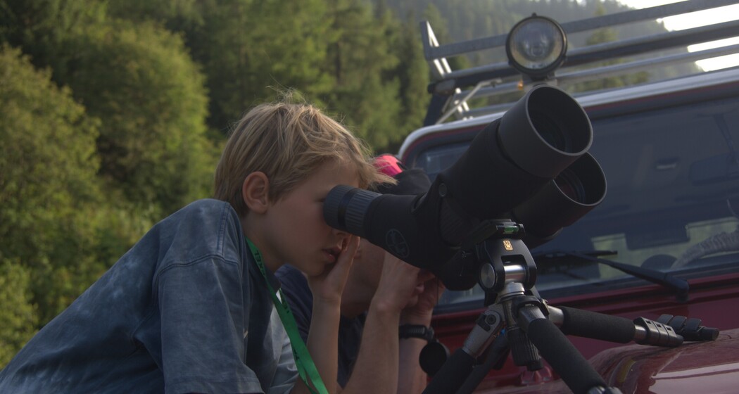 Safari auf Bündner Art - Wildbeobachtung (nsp_img_b0225c8)
