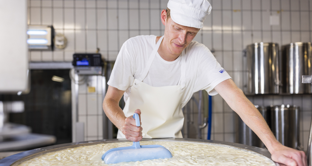 Nossa Caschareia / Savogniner Heumilch Käse (nsp_img_b310b97)