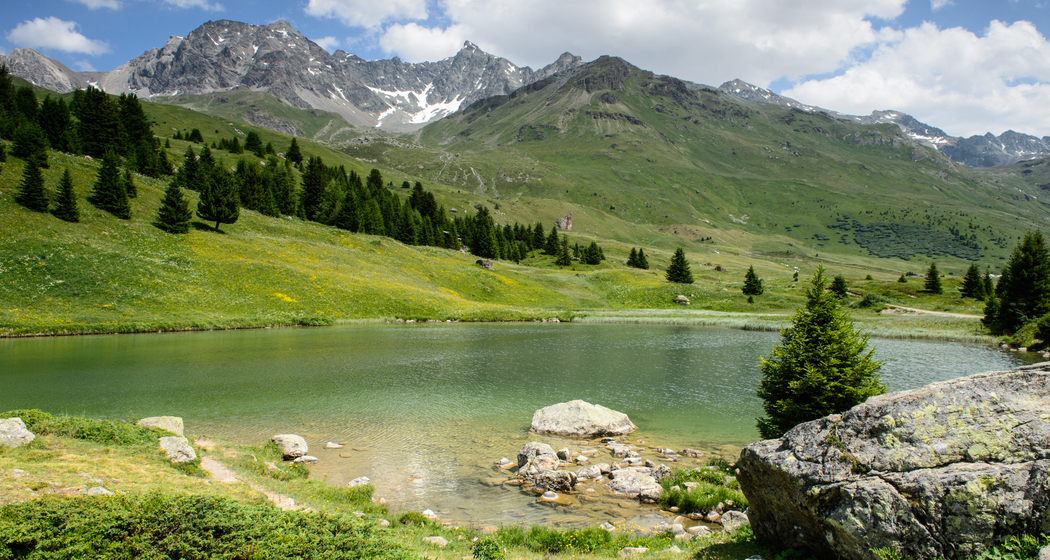 Flower Walks Schatzinsel Alp Flix (nsp_img_b7e8bc7)