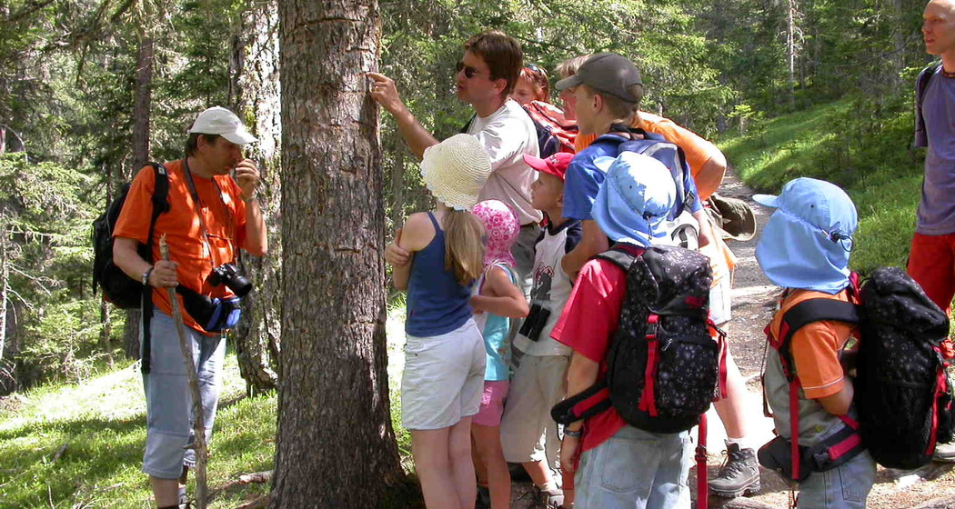 Natur(g)WUNDER (nsp_img_c0087c1)