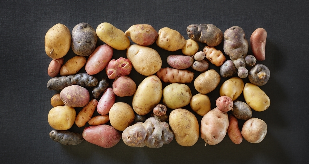 Biohof Las Sorts (nsp_img_cb23405)