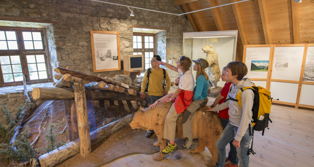 Bärenausstellung S-charl (nsp_img_cd9d3b0)