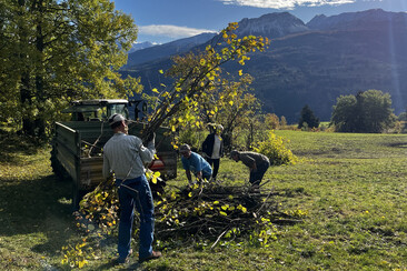 Freiwilligentag Heckenpflege (nsp_img_d790e45)