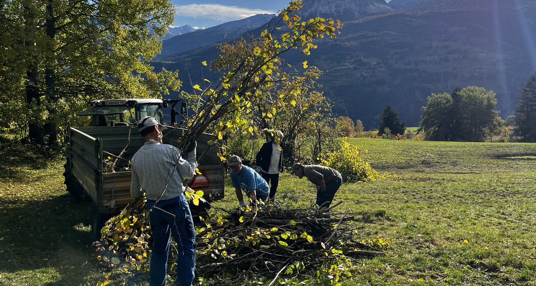 Freiwilligentag Heckenpflege (nsp_img_d790e45)