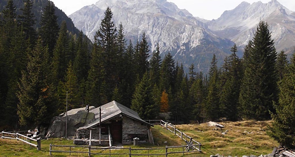 Alp Nursera und Schwarzwald (nsp_img_d8ae2de)