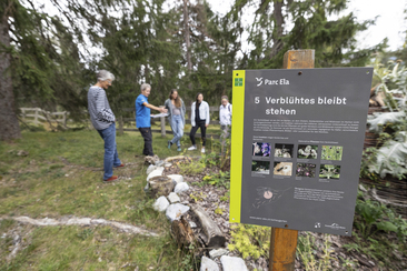 Biodiversität und Insekten (nsp_img_e344ee0)