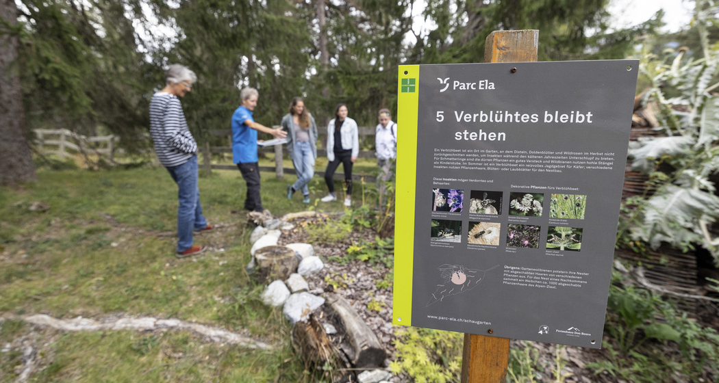 Biodiversität und Insekten (nsp_img_e344ee0)