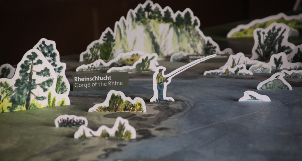 faszinaturRaum (nsp_img_e4494f8)