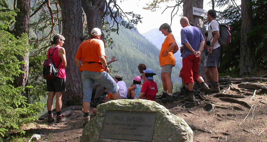 Natur(g)WUNDER (nsp_img_ec1272b)