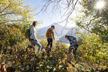 Biodiversität dank Heckenlandschaft (nsp_img_f1ccef4)