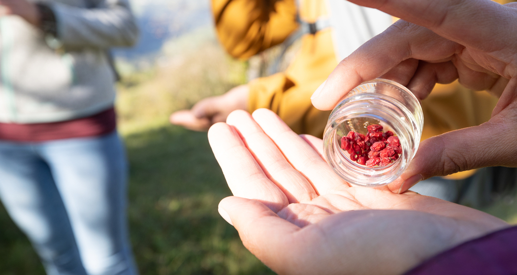 Biodiversität dank Heckenlandschaft (nsp_img_f36820b)