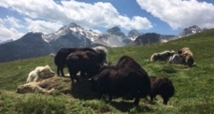 Bio-Hof Heinz Casutt (nsp_img_fc923d4)