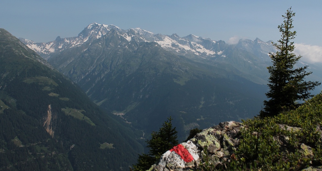 Blick auf den Tödi von der Alp Soliva