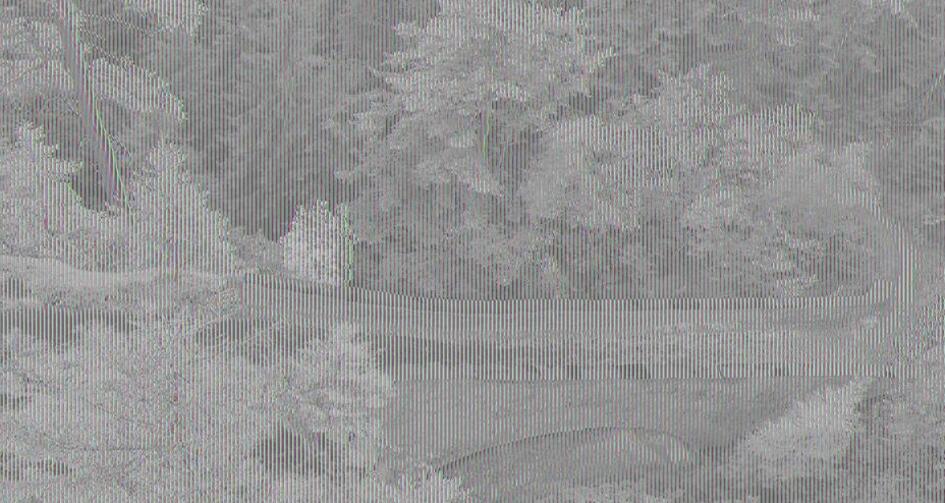 Paunt dalla Dieschma