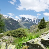 Parcours circulaire Alp Cluenas