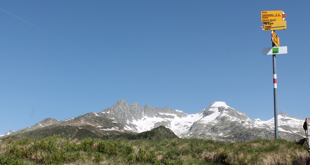 Auf dem Gipfel, mit Piz Gendusas