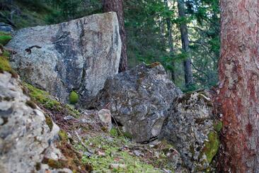 L'albero ferma il masso