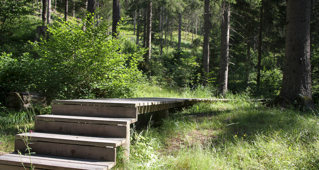 Rözenwald und Flachswaschteiche